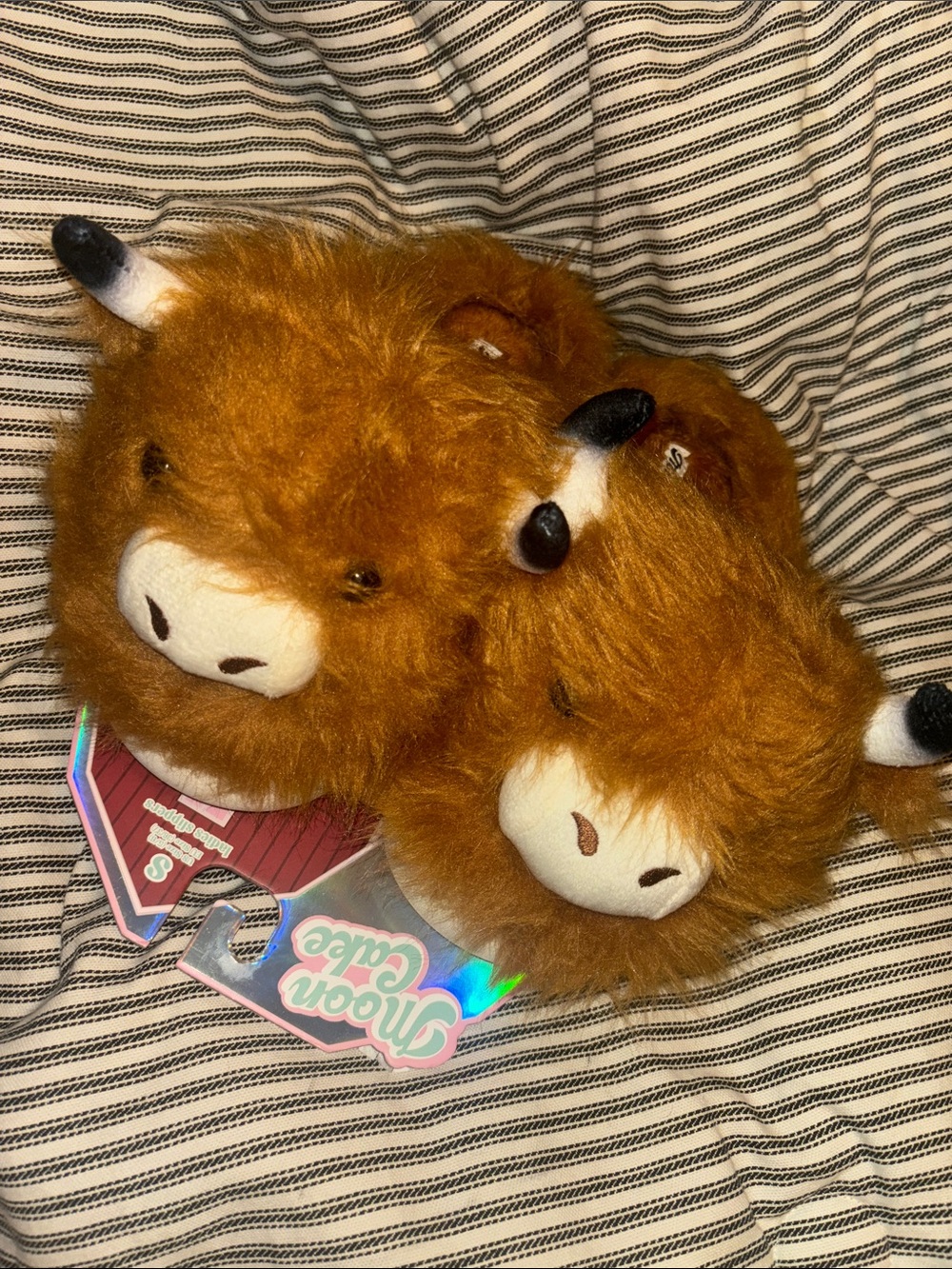 Highland Cow slippers